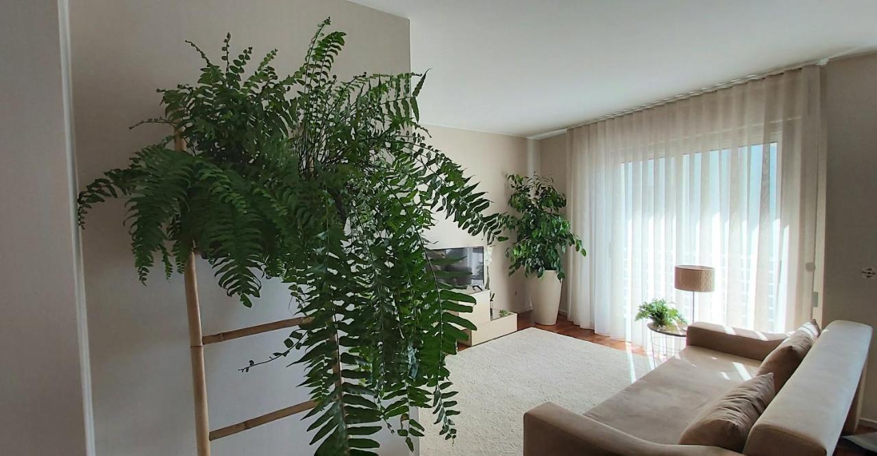 Jardim Na Praia 马托西纽什 外观 照片