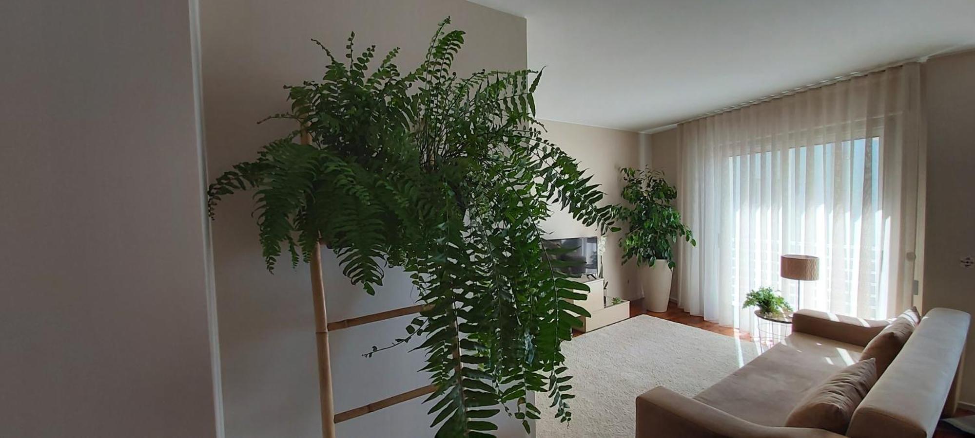 Jardim Na Praia 马托西纽什 客房 照片